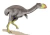 Big bird sex life revealed
