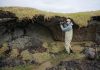 Carbon potential of Alaska lands
