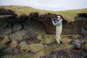 Carbon potential of Alaska-GeologyPage