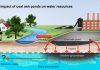 Coal ash ponds found to leak toxic materials