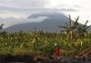 Congo volcano brings farmers rich soil but eruption threat