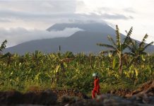 Congo volcano brings farmers rich soil but eruption threat