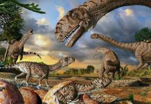 Did dinosaurs have lips?
