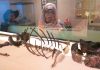 Human Evolution: A 24-million-year record of African plants plumbs deep past