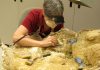 ‘Jurassic Park’ paleontologist retiring from museum he built