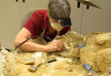 ‘Jurassic Park’ paleontologist retiring from museum he built