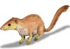 Mammals began their takeover long before the death of the dinosaurs
