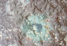New type of meteorite linked to ancient asteroid collision