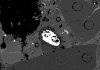 Opal discovered in Antarctic meteorite
