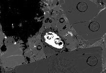 Opal discovered in Antarctic meteorite