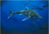 Palaeontologist discovers new species of 200 million-year-old British marine reptile