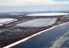Permafrost thawing below shallow Arctic lakes