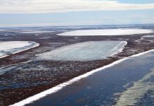 Permafrost thawing below shallow Arctic lakes