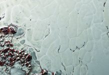 Pluto’s Heart: Like a Cosmic ‘Lava Lamp’