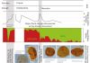 Previously unknown global ecological disaster discovered