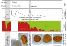 Previously unknown global ecological disaster discovered