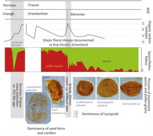 Previously unknown global-GeologyPage