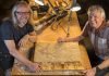 Pterosaur flies safely home after 95 million years