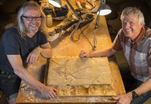 Pterosaur flies safely home after 95 million years