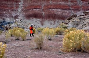 Remarkably diverse flora in-GeologyPage