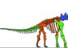Research on massive vertebrae sheds new light on Alamosaurus sanjuanensis