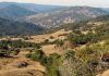 Slowing of landslide flows reflects California’s drying climate