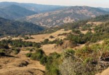 Slowing of landslide flows reflects California’s drying climate