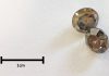 Ultra-thin slices of diamonds reveal geological processes