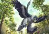 Beaked birds champions of the last mass extinction