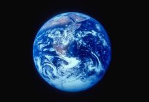 Evolution may have moved at a furious pace on a much warmer earth