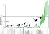 Evolution of flight in birds