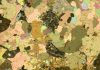 Fingerprinting rare earth elements from the air
