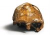 How China is rewriting the book on human origins