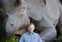 Mammals diversified only after dinosaur extinction left space