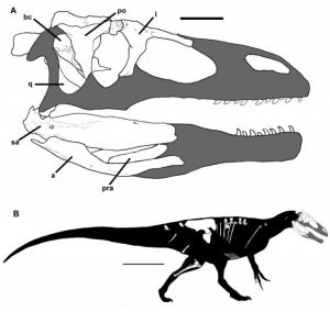New dinosaur species may give-GeologyPage