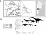 New theropod dinosaur suggests that small T. rex-like arms evolved multiple times