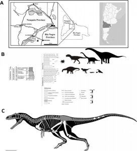 New theropod dinosaur suggests-GeologyPage