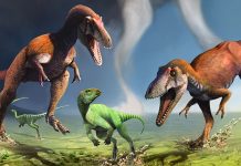 Newly-discovered dinosaur had “T. rex arms” that evolved independently