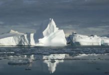 Ocean warming primary cause of Antarctic Peninsula glacier retreat