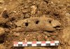 Researchers discover how rope was made 40,000 years ago