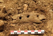 Researchers discover how rope was made 40,000 years ago