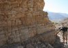 Rocks chart Earth’s recovery from extinction
