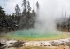Scientists isolate, culture elusive Yellowstone microbe