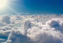 Scientists measure the air breathed by Earth’s first animals