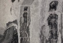 The secret to an Oesia life: Prehistoric worm built tube-like ‘houses’ on sea floor