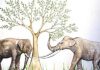 Tooth wear sheds light on the feeding habits of ancient elephant relatives