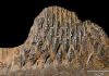 300 Teeth: Duck-billed dinosaurs would have been dentist’s dream
