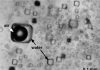 Ancient air pockets changing the history of Earth’s oxygen