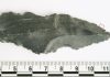Archaeology team makes world-first tool discovery
