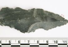Archaeology team makes world-first tool discovery